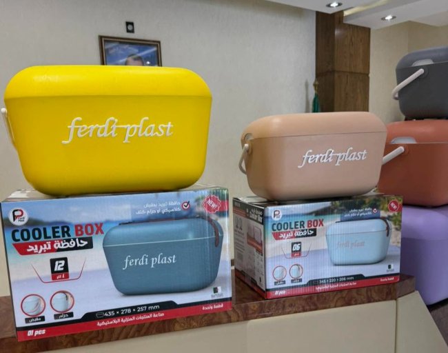 Glacière Portable 20L Ferdi Plast - Idéale pour Pique-Nique, Plage et Camping - حافظة تبريد بسعة 20 لتر من فردي بلاست
