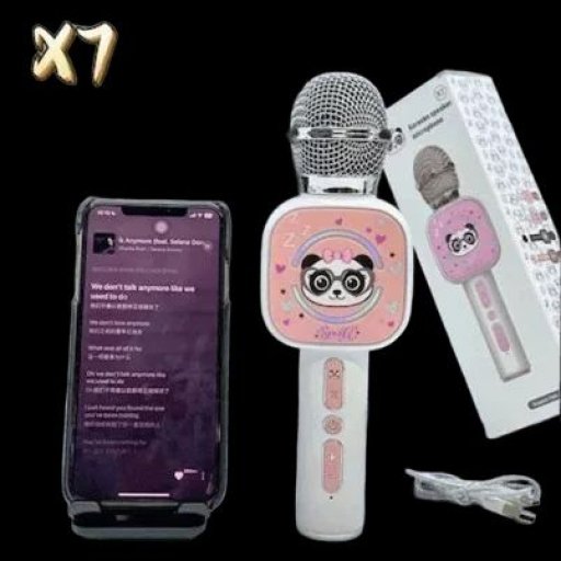 karaoke microphone