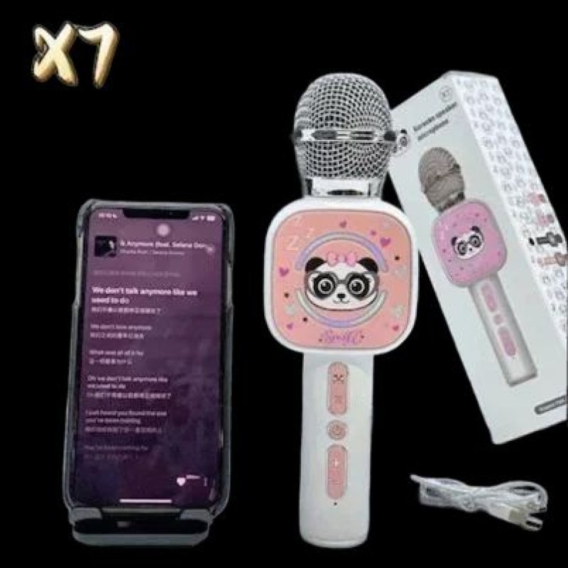 karaoke microphone